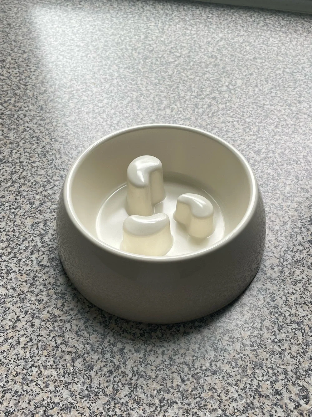 Martha Stewart dog slow feeder